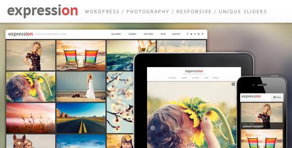 Mineral - Responsive Multi-Purpose WordPress Theme - 10